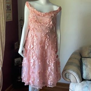 Boohoo Pink Floral Appliquรฉ Midi Dress